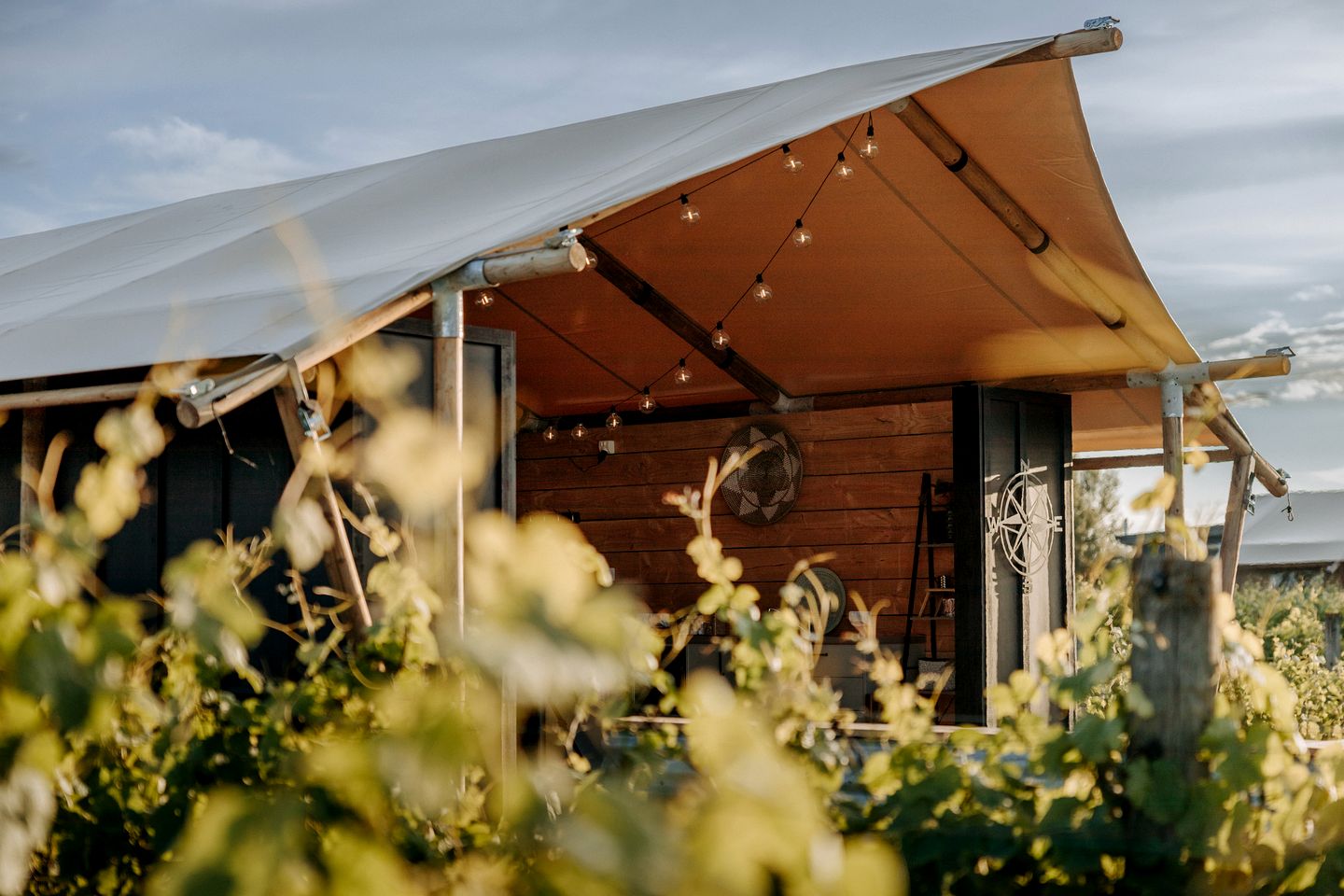 Peaceful Safari Tent on Boutique Vineyard near Hastings, North Island