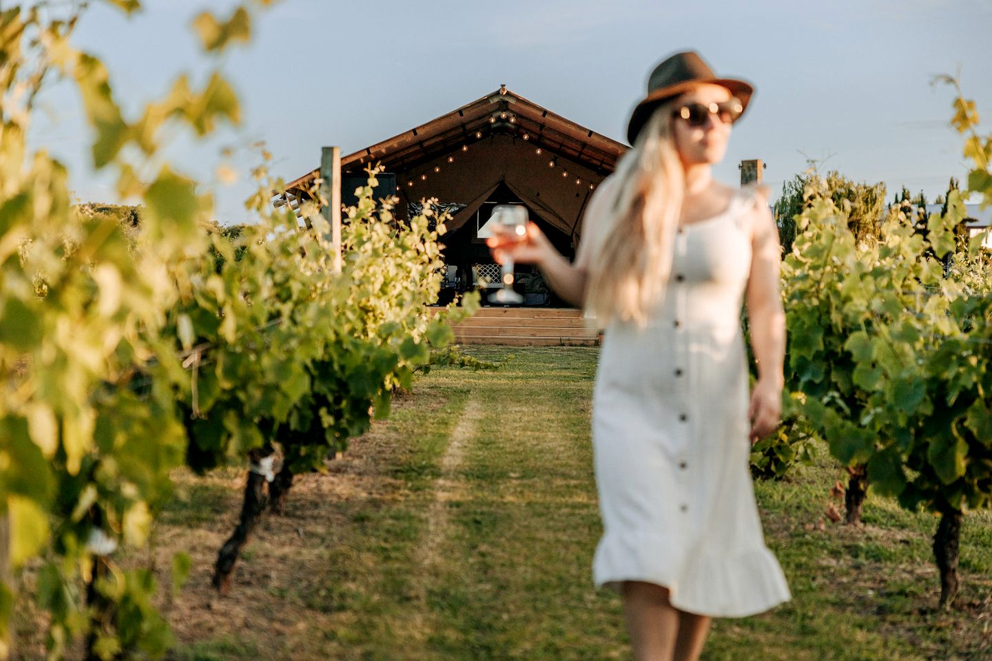 Peaceful Safari Tent on Boutique Vineyard near Hastings, North Island