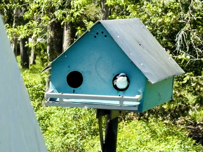 Domes (Canada, Yarker, Ontario)
