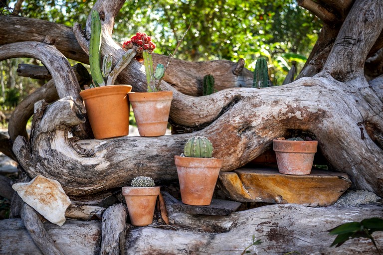 Domes (Mexico, Solferino, Quintana Roo)