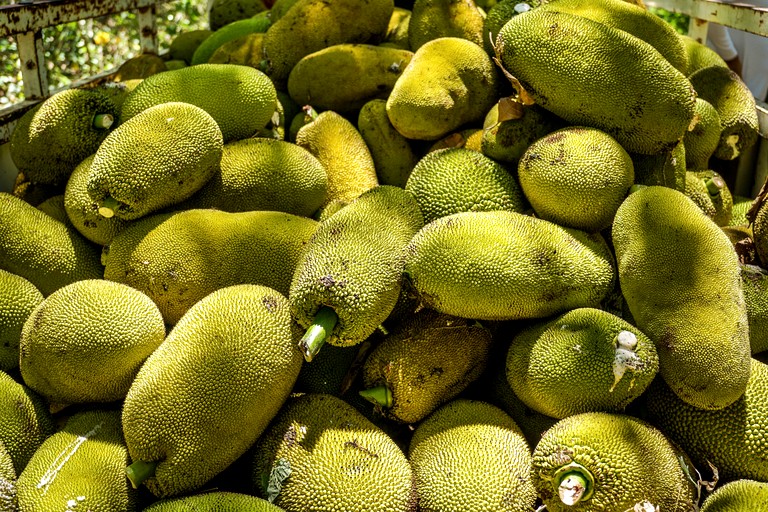 Domes (Mexico, Solferino, Quintana Roo)