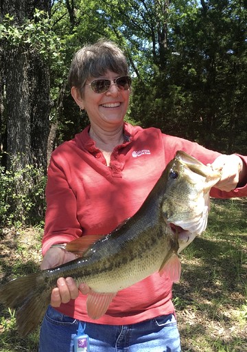 Tree Houses (United States of America, Kaufman, Texas)