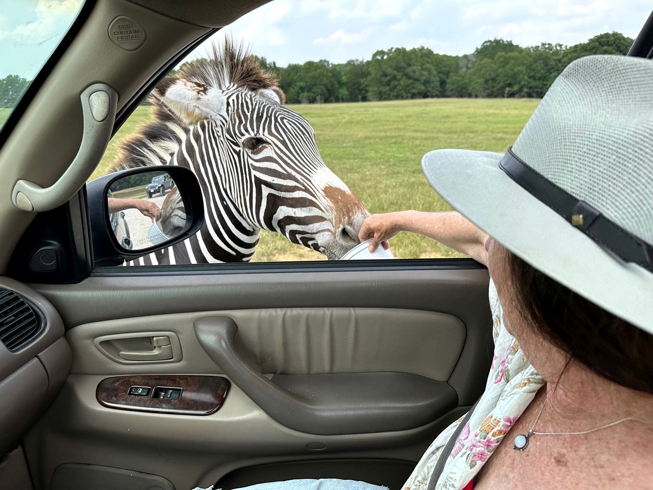 Texas Safari Camp Hummingbird Tree House