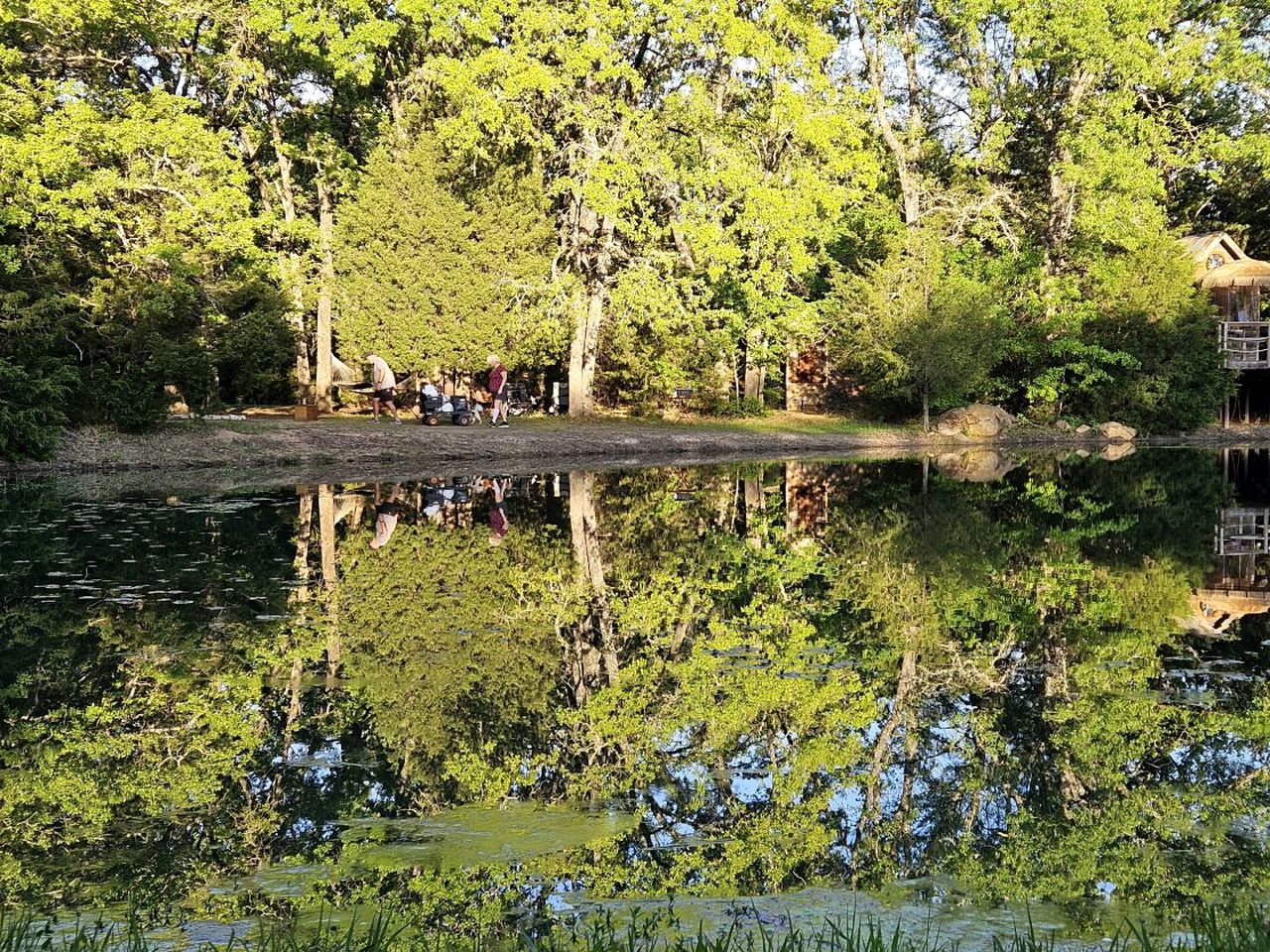 Texas Safari Camp Hummingbird Tree House