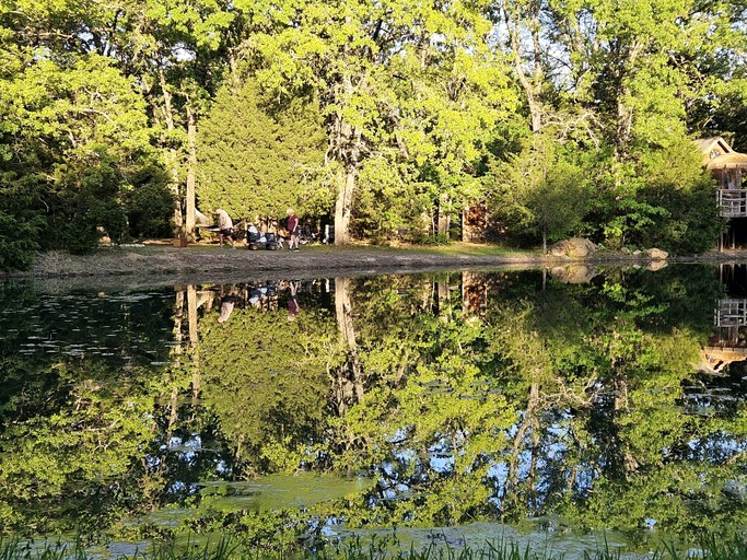 Tree Houses (United States of America, Kaufman, Texas)