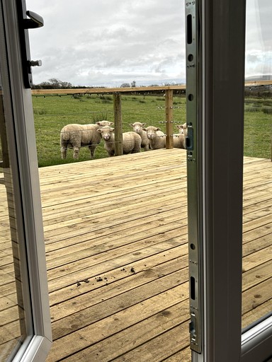 Cabins (United Kingdom, Okehampton, England)