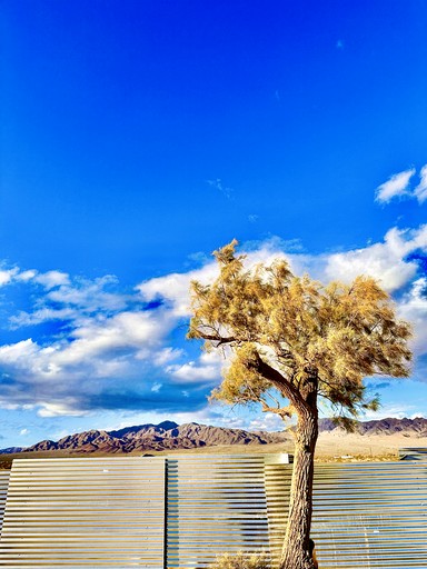 Yurts (United States of America, Wonder Valley, California)