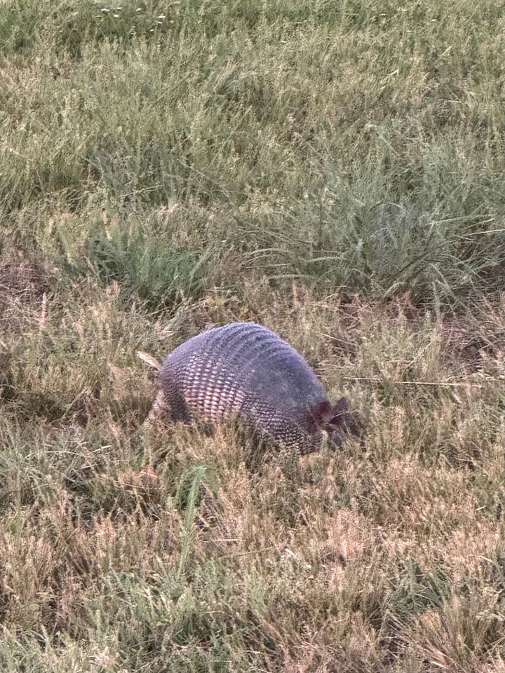 Off-Grid Tented Cabin with Fire Pit in Valley Mills, Texas