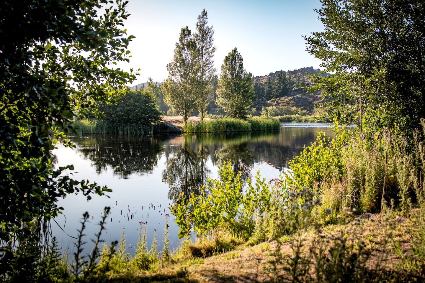 Impressive Secluded Caravan in Galloway, South Island