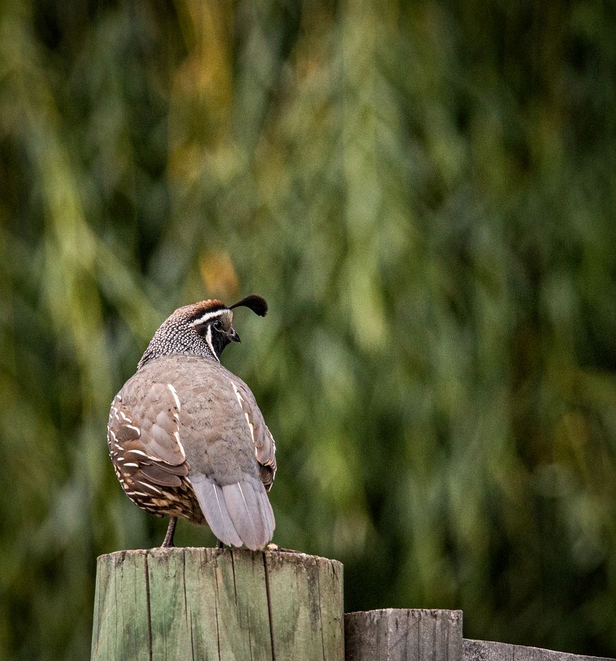 Impressive Secluded Caravan in Galloway, South Island
