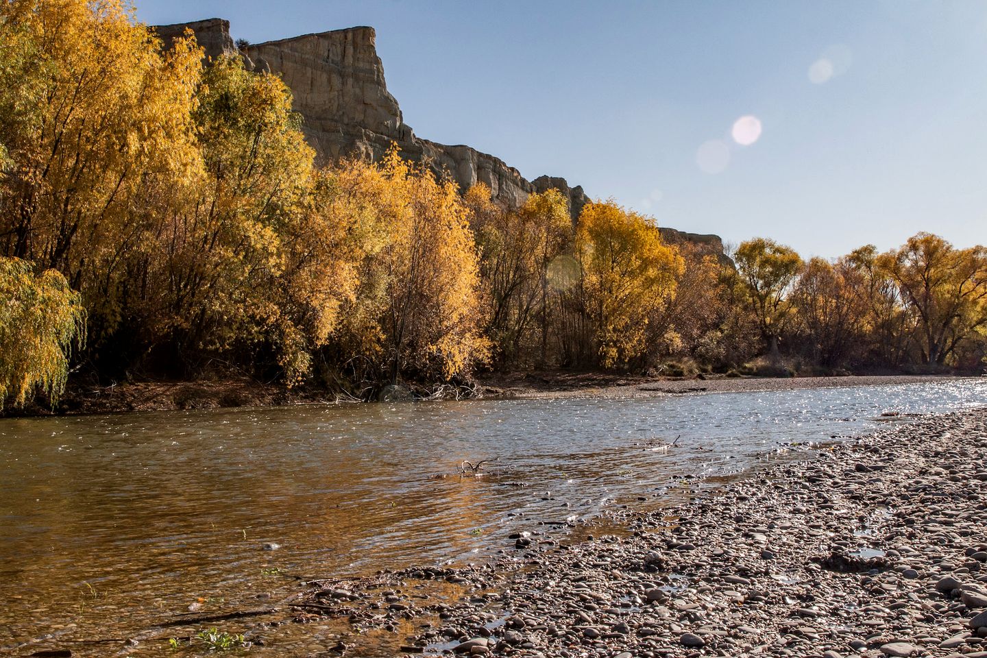 Impressive Secluded Caravan in Galloway, South Island
