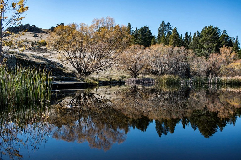 Caravans (New Zealand, Galloway, South Island)
