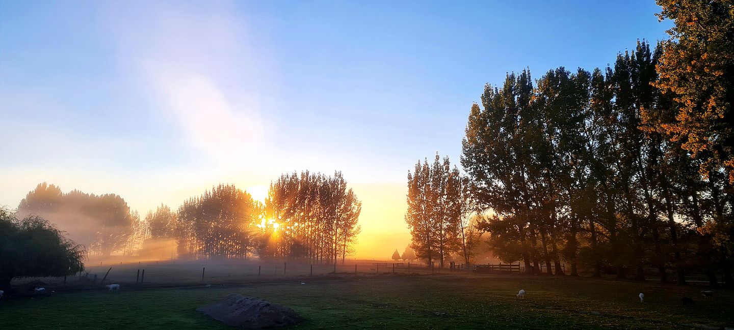 Impressive Secluded Caravan in Galloway, South Island