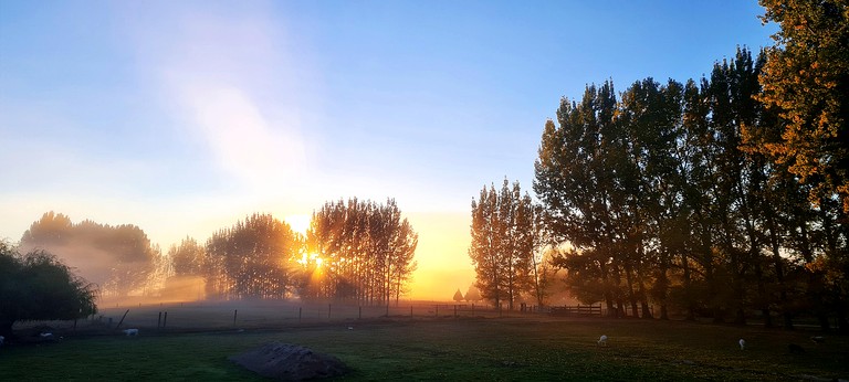 Caravans (New Zealand, Galloway, South Island)