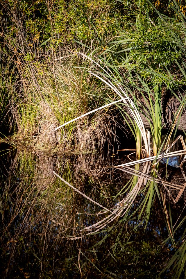 Impressive Secluded Caravan in Galloway, South Island
