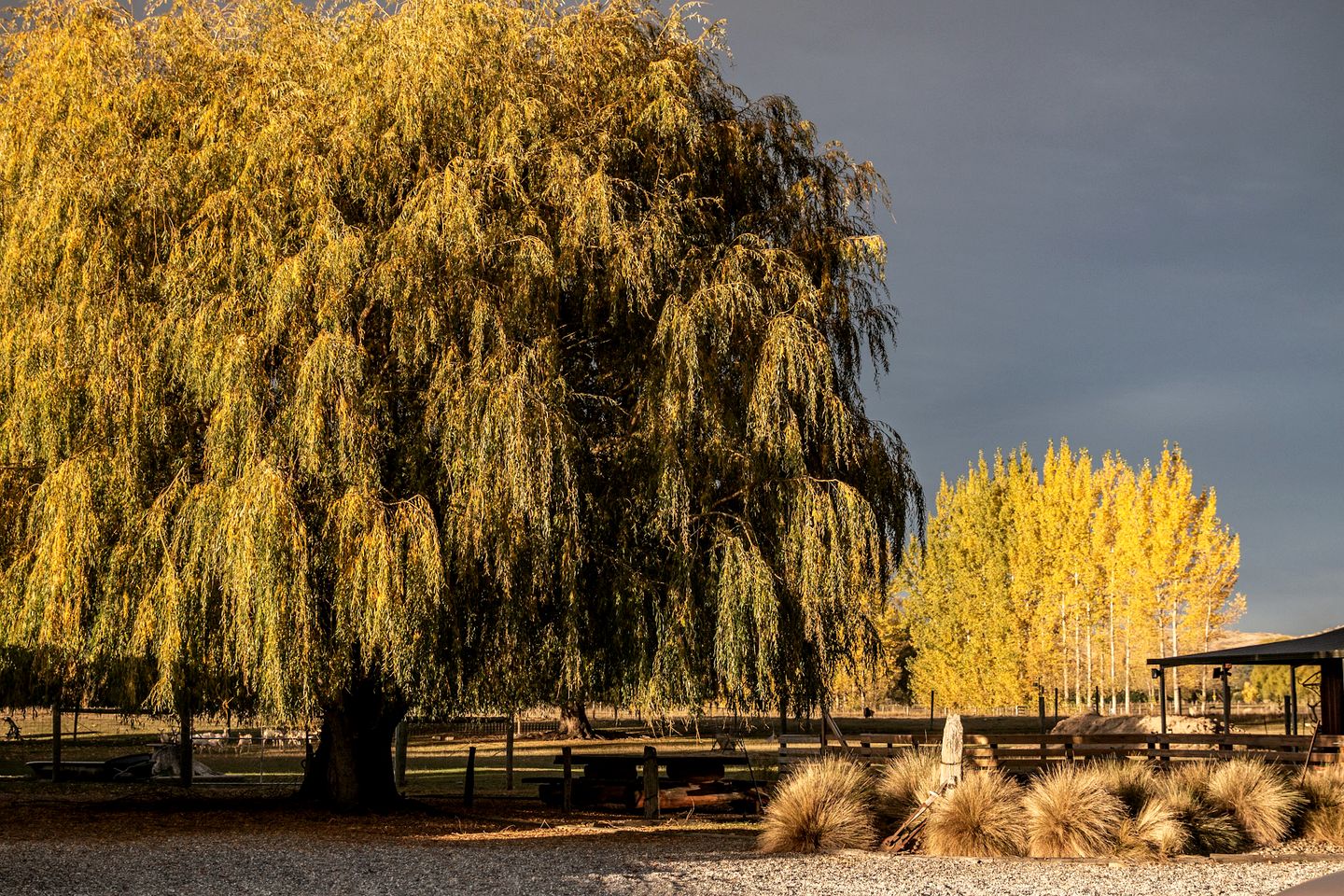 Impressive Secluded Caravan in Galloway, South Island