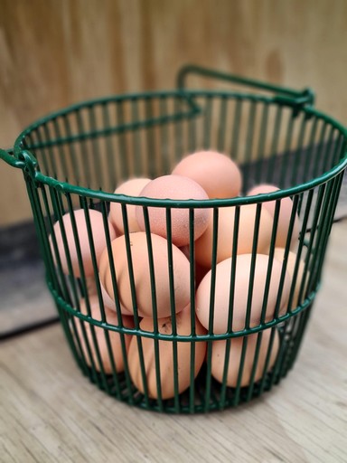 Caravans (New Zealand, Galloway, South Island)