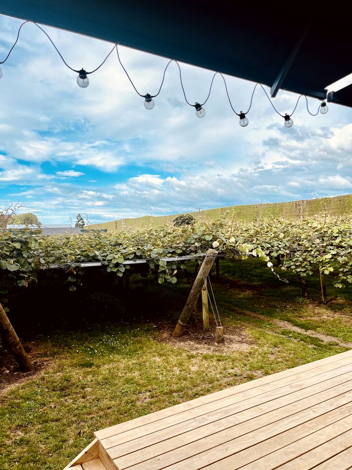 Embrace Nature in this Charming Tiny House in Tauranga, Bay of Plenty
