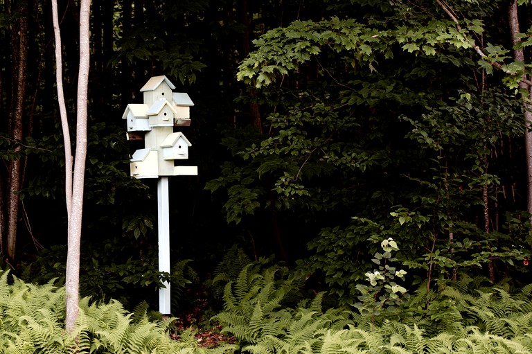 Tiny Houses (Canada, Albert Mines, Quebec)