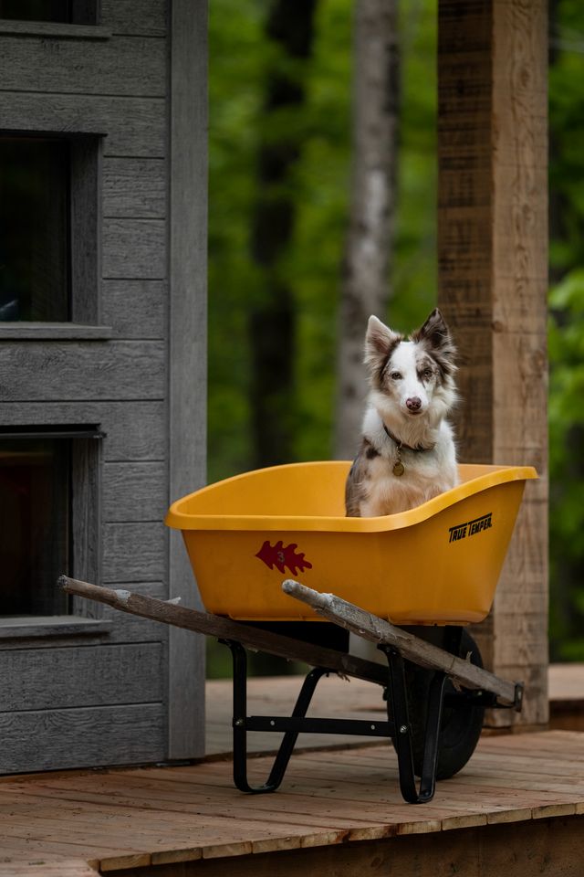 Embrace Nature in this Beautiful Tiny House with Fire Pit in Hatley, Quebec