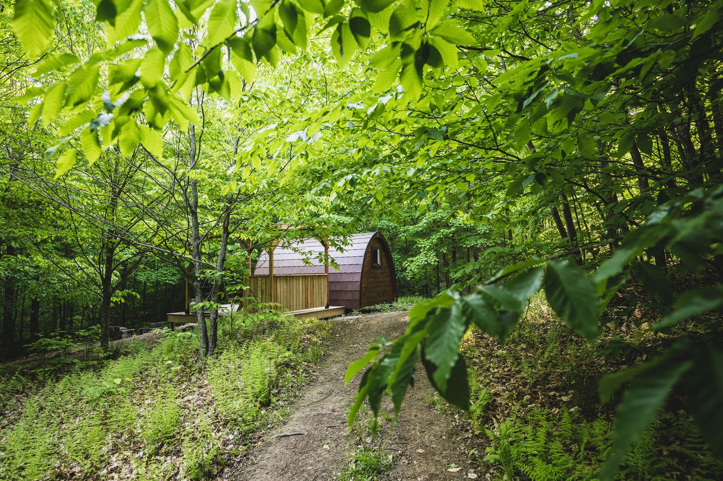 Fantastic Pod with Barbecue Settled Between Trees in Hatley, Quebec