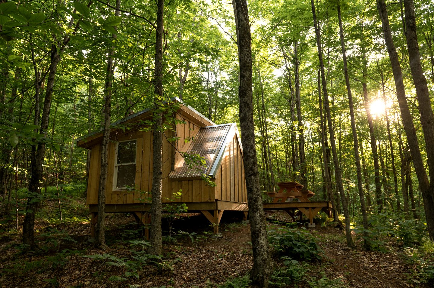 Station Chêne Rouge | Glamping à North Hatley