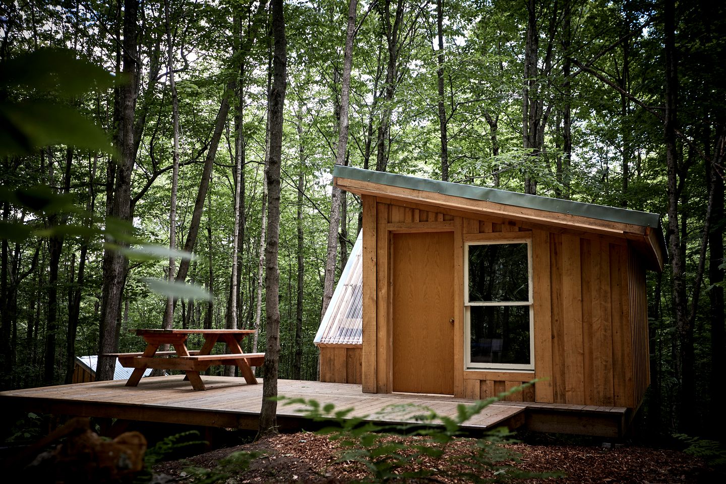 Station Chêne Rouge | Glamping à North Hatley