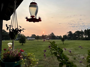 Cozy Barn Stay: A Perfect Retreat for Animal Lovers in Danville, Georgia - Photo 2