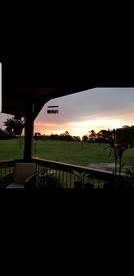 undefined photo 4