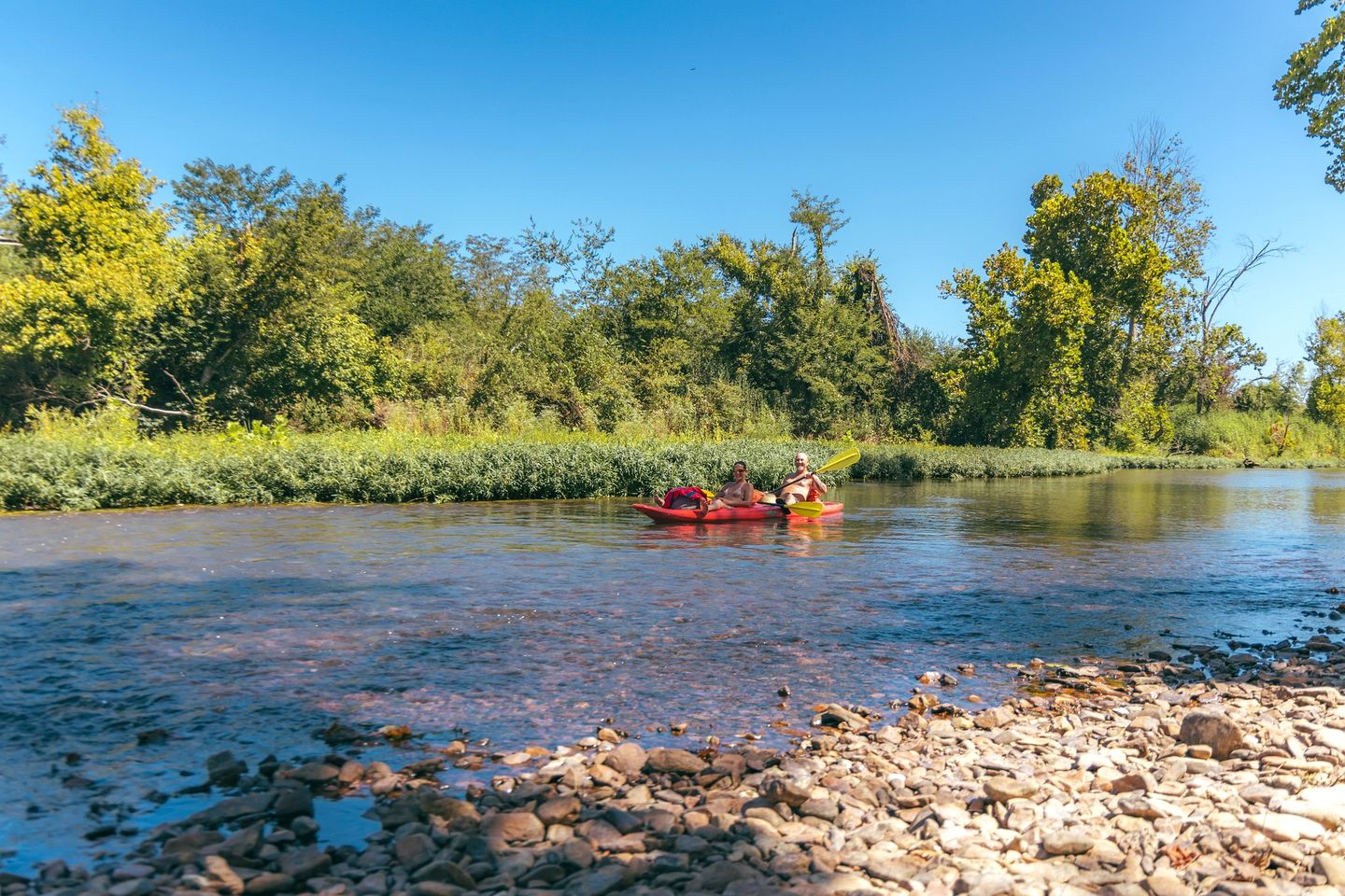 Gorgeous Dome with Fire Pit and Fireplace in Waynesboro, Tennessee