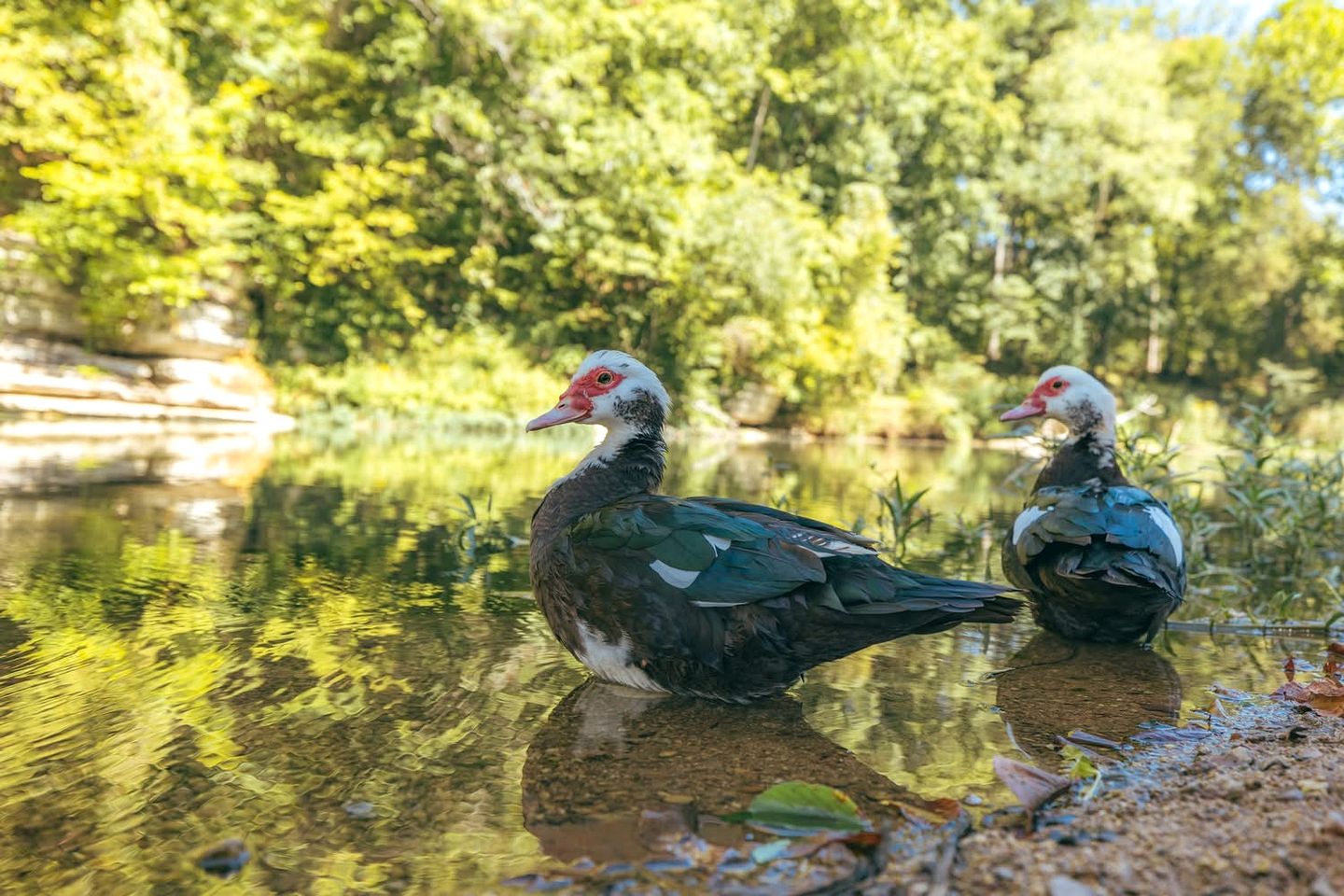 Gorgeous Dome with Fire Pit and Fireplace in Waynesboro, Tennessee
