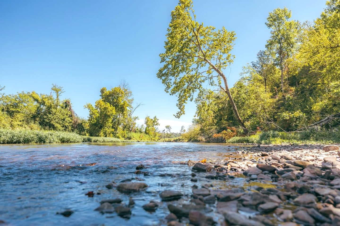 Gorgeous Dome with Fire Pit and Fireplace in Waynesboro, Tennessee