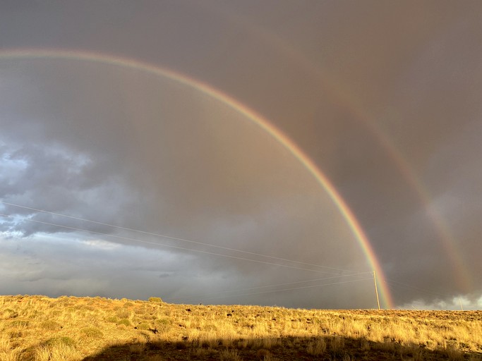 Yurts (United States of America, Page, Arizona)