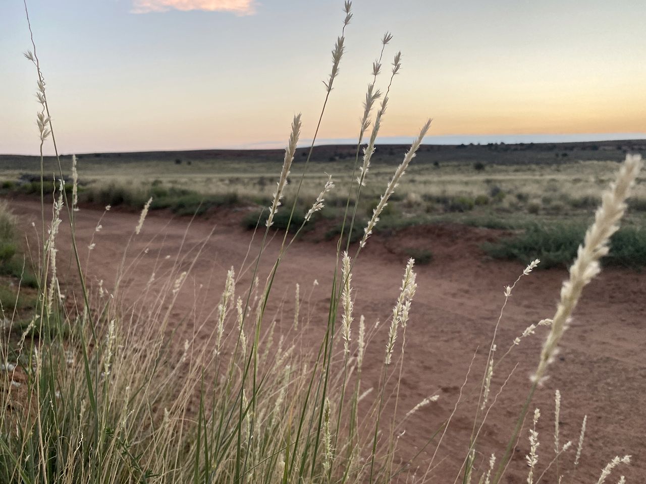 Unique Hogan Rental in a Beautiful Remote Location near the Grand Canyon