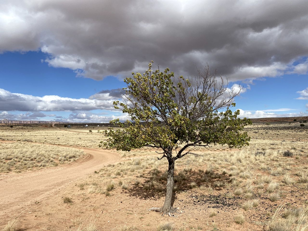 Unique Hogan Rental in a Beautiful Remote Location near the Grand Canyon