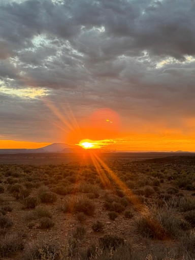 Yurts (United States of America, Page, Arizona)