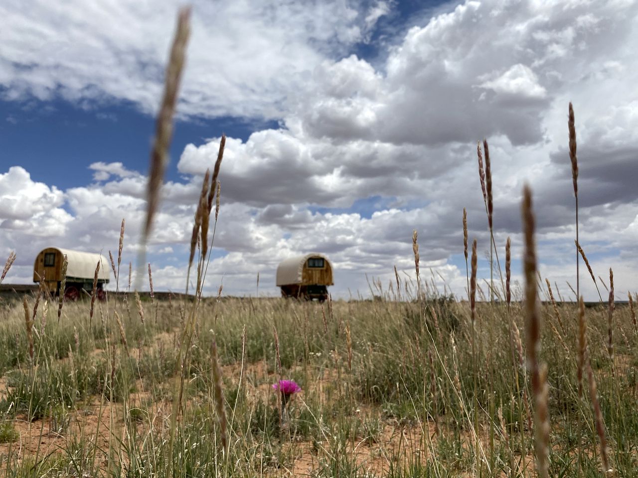 Covered Wagon Rentals for Couples at Bed and Breakfast Ranch near Lake Powell