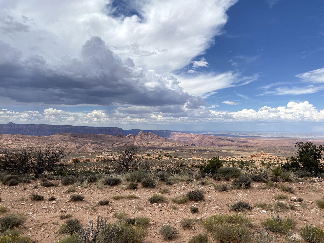 Covered Wagon Rentals for Couples at Bed and Breakfast Ranch near Lake Powell