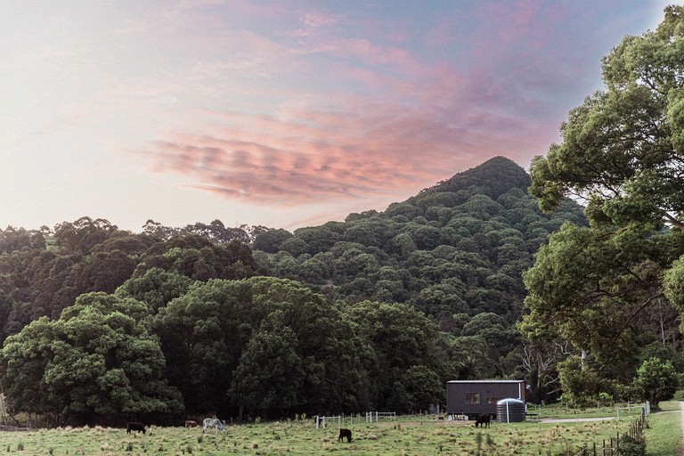Tiny Houses (Australia, Mullumbimby, New South Wales)