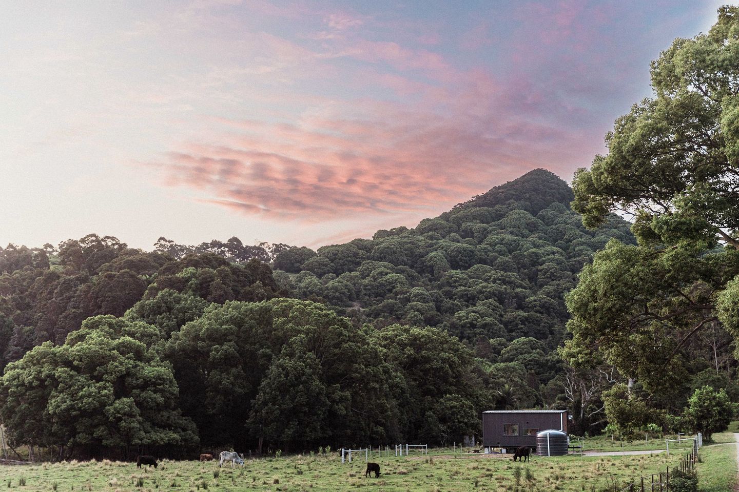 Luxurious Tiny Home with Outdoor Bath in Mullumbimby, New South Wales