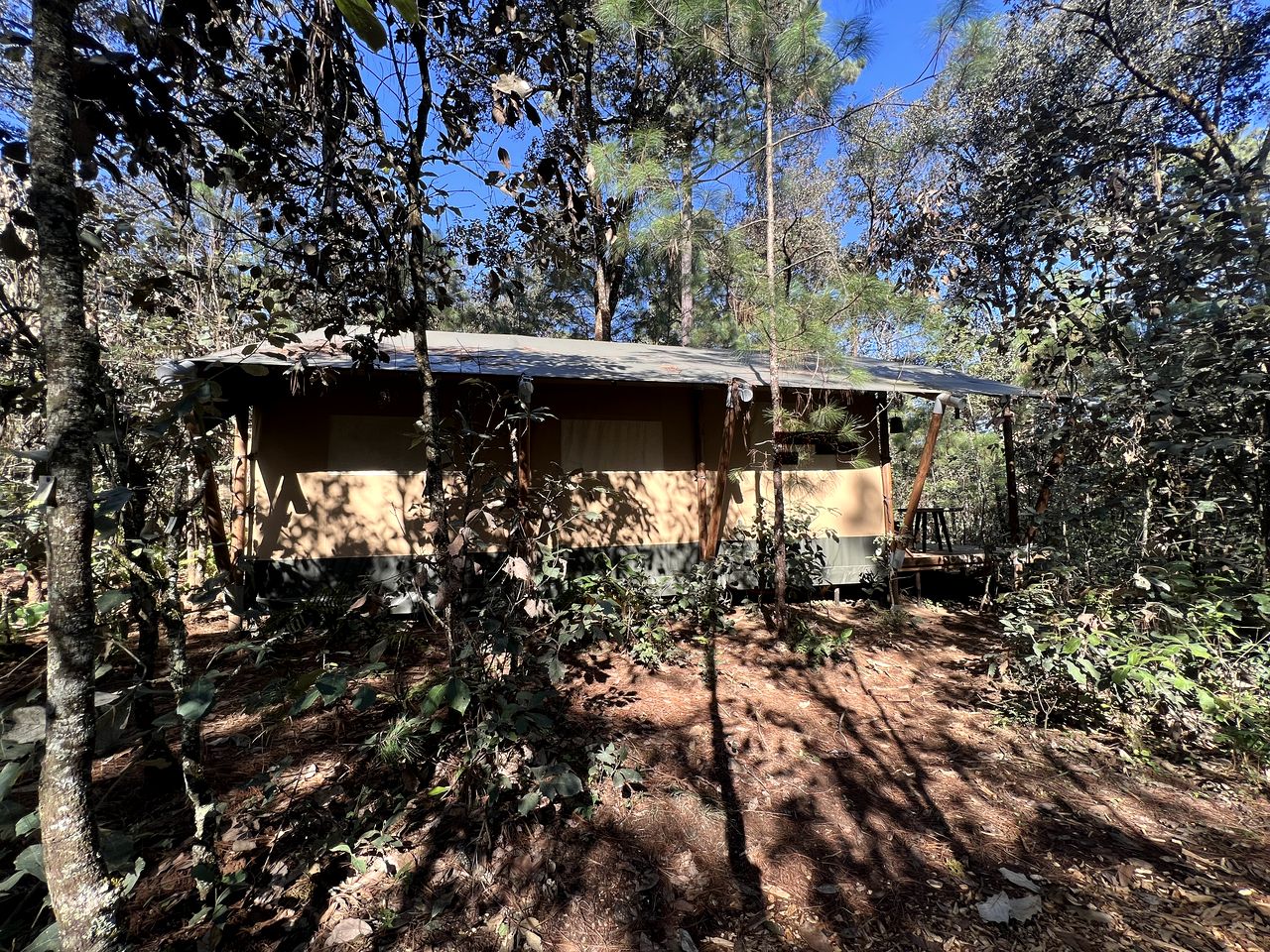 Romantic Safari Tent in the Trees for a Wonderful Couples Getaway Surrounded by Nature in Valle de Bravo, Mexico