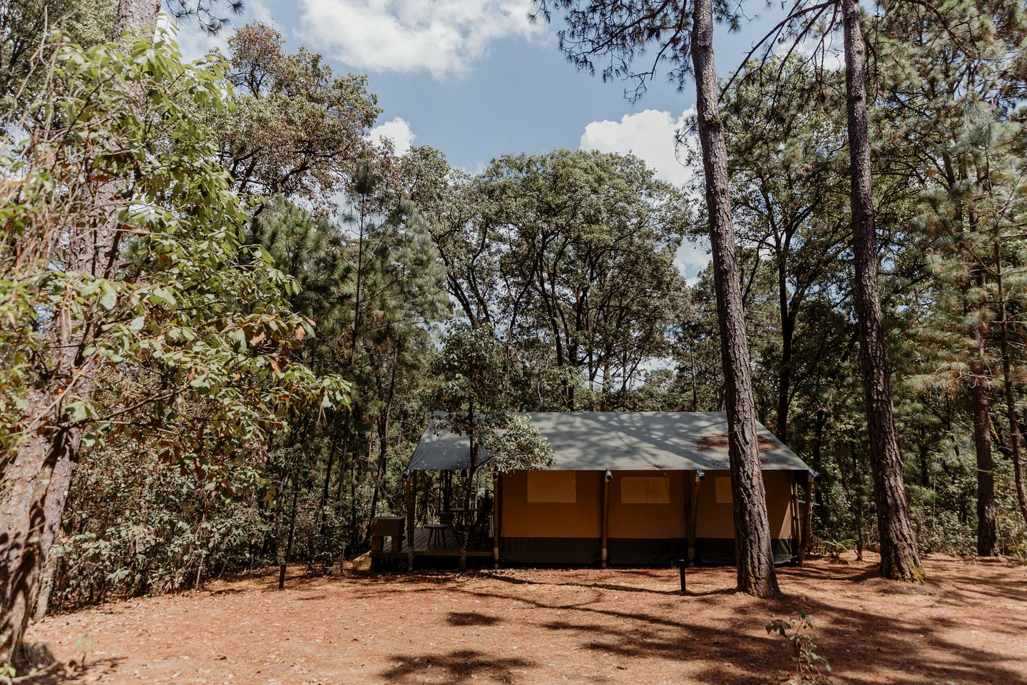Romantic Safari Tent in the Trees for a Wonderful Couples Getaway Surrounded by Nature in Valle de Bravo, Mexico