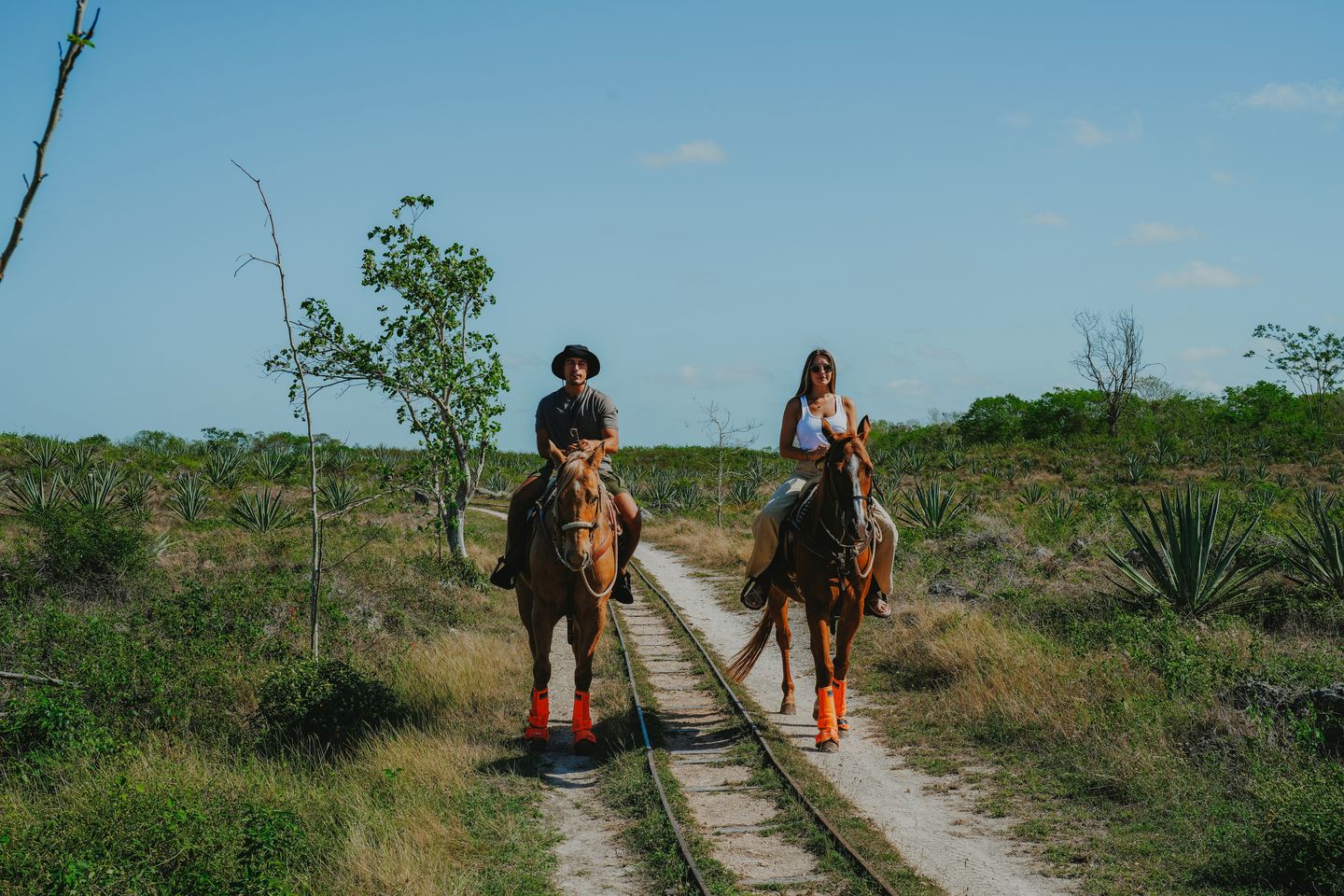 Incredible Tented Cabin on a Wonderful Retreat for a Relaxing Glamping Experience in Yucatan, Mexico