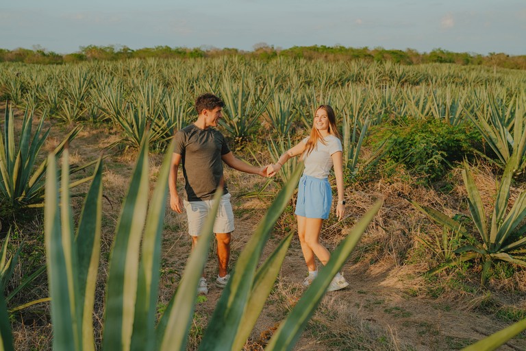 Tented Cabins (Mexico, Dolores Hidalgo Cuna de la Independencia Nacional, Guanajuato)