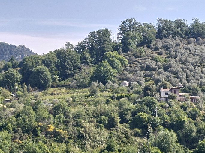 Yurts (Italy, Gerano, Lazio)