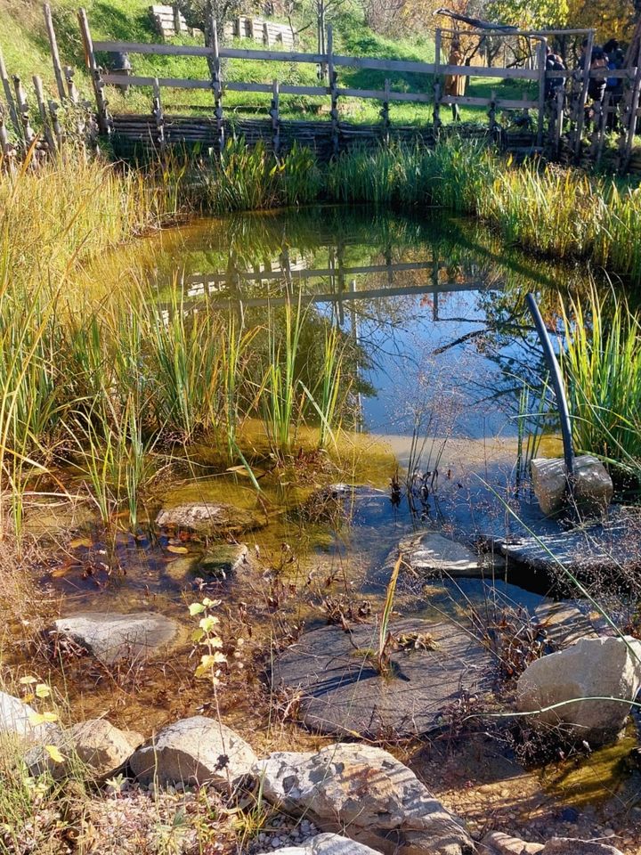 Gorgeous Traditional Yurt on a Wonderful Eco-Farm in Gerano for Glamping near Rome, Italy