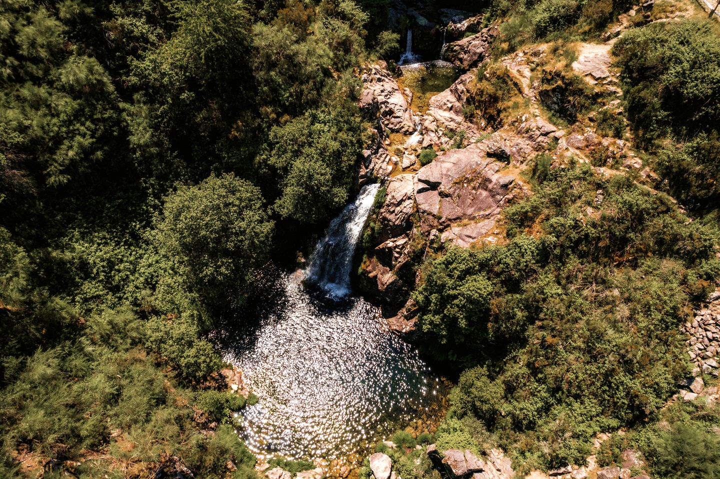 Incredible Luxurious Tree House Suspended Over the Lima River for an Unforgettable Escape in Nature in Northern Portugal