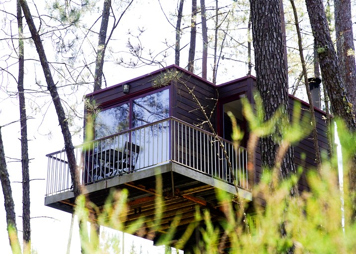 Incredible Luxurious Tree House Suspended Over the Lima River for an Unforgettable Escape in Nature in Northern Portugal