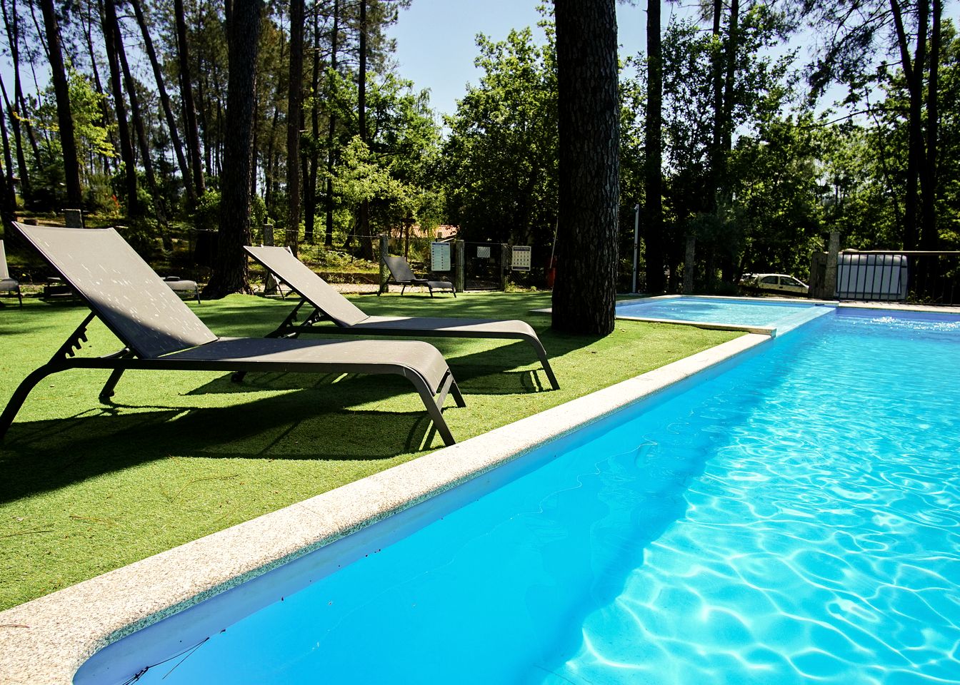 Incredible Luxurious Tree House Suspended Over the Lima River for an Unforgettable Escape in Nature in Northern Portugal