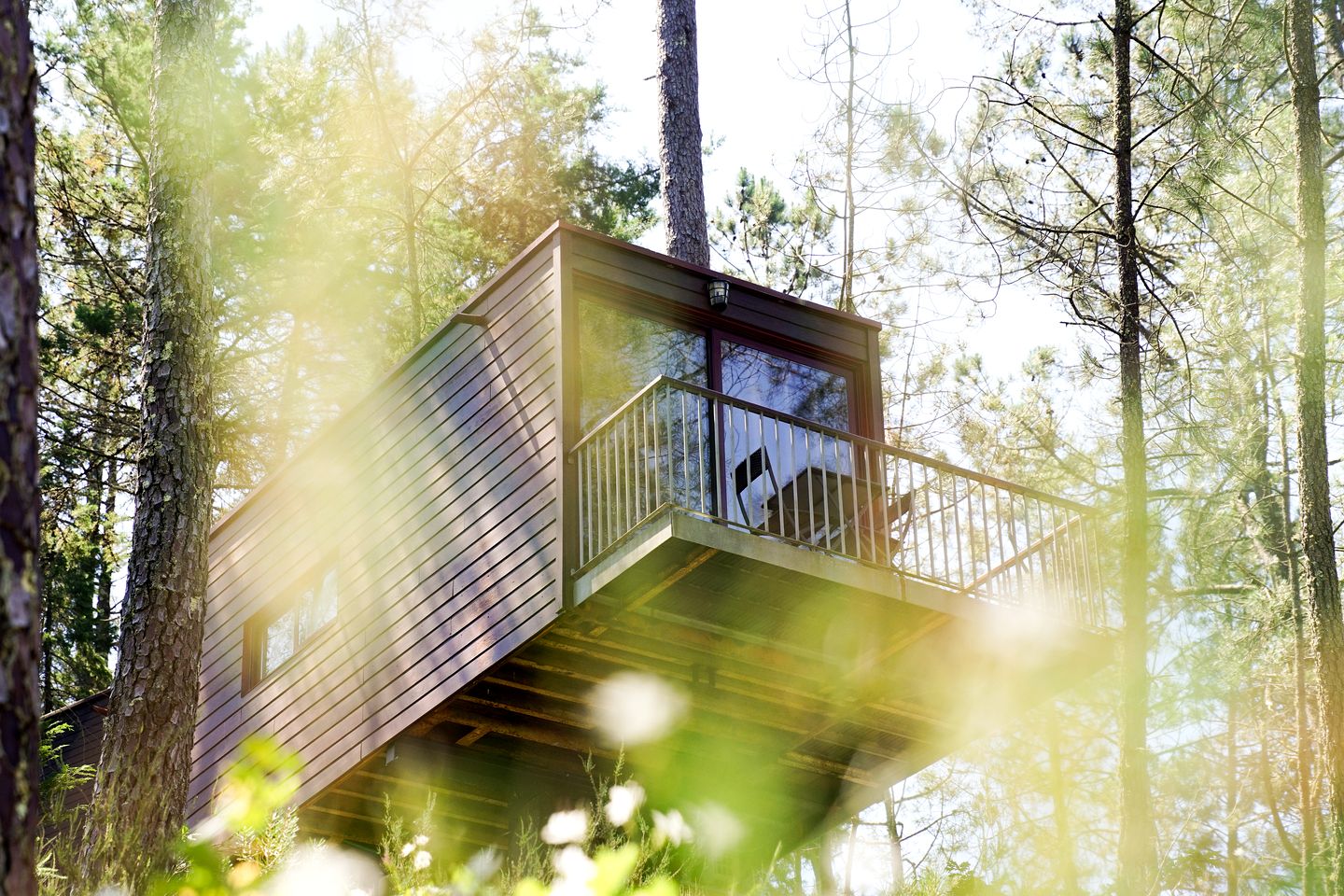 Incredible Luxurious Tree House Suspended Over the Lima River for an Unforgettable Escape in Nature in Northern Portugal